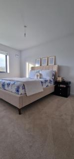 Cosy Nature View Room - 1