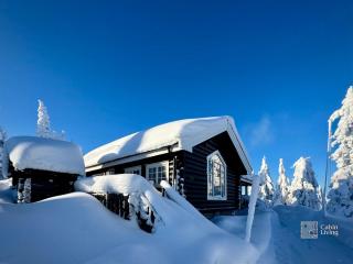 Authentic mountain atmosphere at Sjusjøen - 3