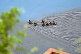 The Dockside Gamehouse - 3