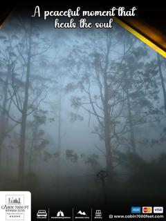 Cabin 7000 feet - A cozy Mountain View retreat in Nuwara eliya - 6