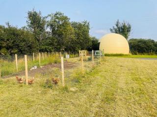 OMG!The Golden Egg - 9