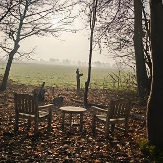 The Wellness View! - 1