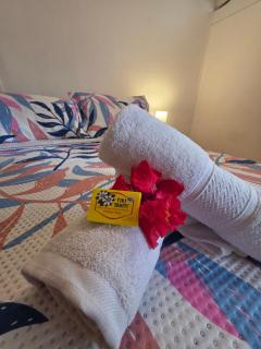 Puna Pau nui Sernatur - 1