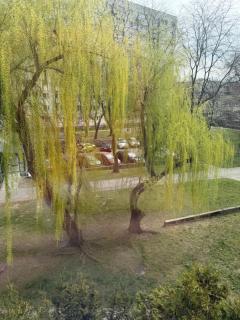 Brzostek Apartamenty - Varsovie - 8