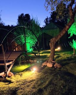 Περιβόλι του Οδυσσέα - 8