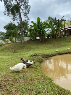 Chácara Recanto Verde - 8