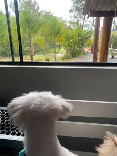 Chácara Recanto Verde - 3