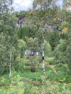 Koselig hytte med vedfyrt badstue - 1