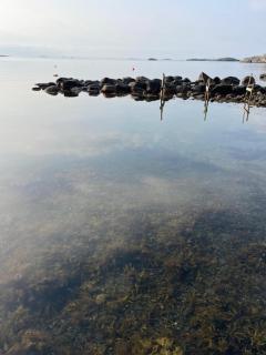 The Ocean, the Forest, the Beach and Nature will welcome you at Eftang, Larvik - 9
