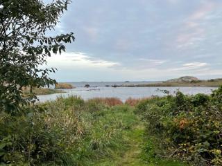 The Ocean, the Forest, the Beach and Nature will welcome you at Eftang, Larvik - 4