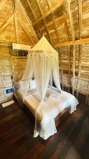 Rice Field and Mountain View House - 3