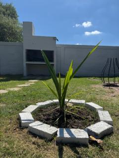 Casa Magnolia Paysandú - 7