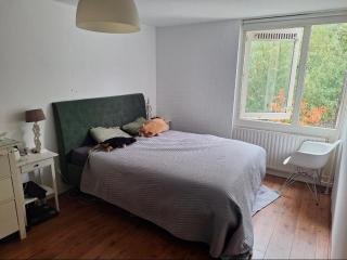 Large family house in Tanthof, Delft - 8