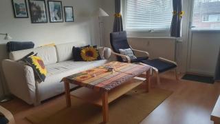 Sunflower Apartment 88 m2 Hyltebruk, Sweden - 5