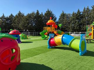 Tenuta San Tommaso - Pisticci - 6