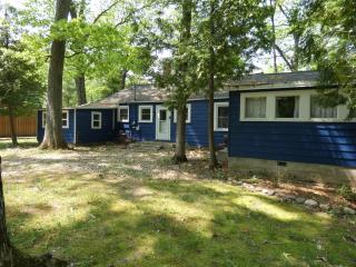 Cranberry Cottage on Torch Lake - 8