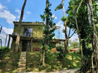 Casa del Bosque, Fortuna - 3