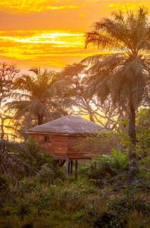 Mansa Musso Lodge - 6