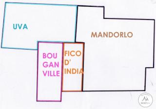 MASSERIA BOSTINI - 5