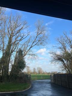 The Cuckoos Nest - 1