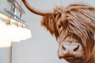 Ferienpark Sierksdorf App 470 - Strandlage - 4