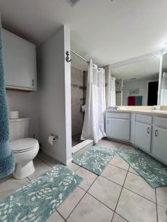 Gorgeous condo, 2 bedrooms, 2 baths, with pool, minutes to Clearwater Beach - Clearwater - 2