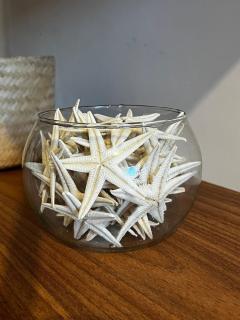 Casa de Praia na Cidade das Conchas Swell Home - 5