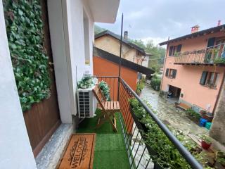Little Forest in Como - 1
