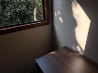 Paraíso Verde- Loft no Centro - 2