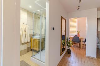 Modern Studio Apartment in City Center Usti nad Labem - 1