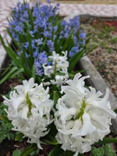 COLOSSEUM Zen House - Boekarest - 6