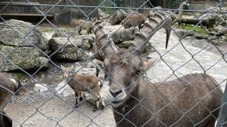 Apartment mit Balkon - 8