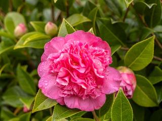 Bay View Porlock Bed & Breakfast - 6