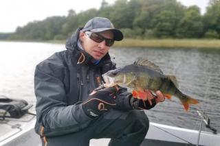 Scandinavian house overlooking the lake - 9