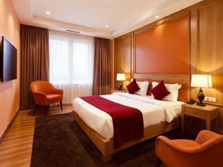 Hotel Shivaji igi Airport Delhi - 7