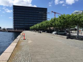 Stunning classic flat in the center of Copenhagen - 6