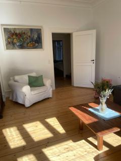 Stunning classic flat in the center of Copenhagen - 5