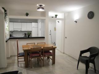 Apartment next Ushuaia beachfront with terrace - 2