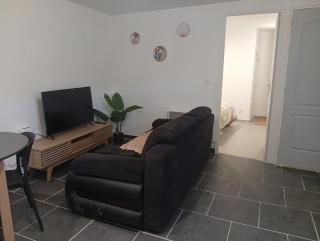 Studio Cozy Chavanay - Chavanay - 3