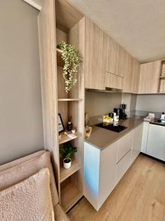 Depto comodo 1D1B a minutos del Movistar Arena - 4