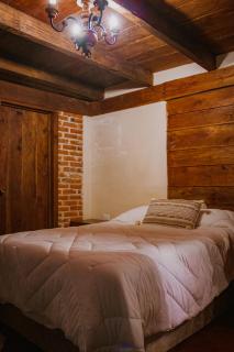 La Magia del Bosque - 6