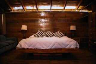 La Magia del Bosque - 4