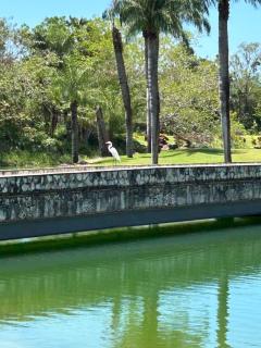 Elegant Golf Retreat with Jacuzzi Terrace - 3BR Apartment in Guavaberry Golf and Country Club - Gated Resort - 2