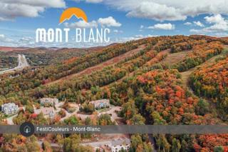 Mountain Escape Ski-In Ski-Out Laurentians - 8