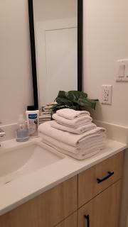 Modern Suite Near Hamilton Airport - 9