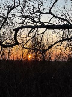 Fazenda Santa Rita - 4