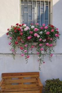 Terra e Cuore - Tra i Sassi e il Sole - 9