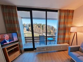 Studio Roswitha mit Pool und Sauna - 8