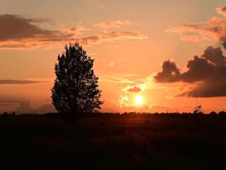 Unique tent lodge in Dalerveen with sauna - 8