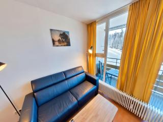 Familienappartement Roswitha mit Pool und Sauna - 0